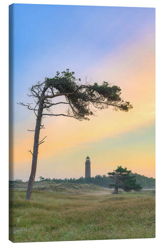 Obraz na płótnie Wind refugees at the Darßer Ort lighthouse