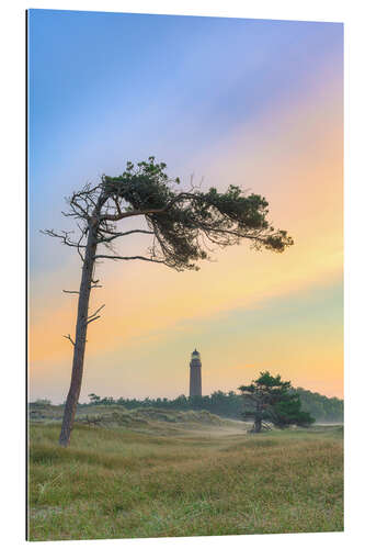 Galleritryck Wind refugees at the Darßer Ort lighthouse