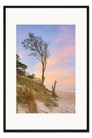 Gerahmter Kunstdruck Baum am Darßer Weststrand