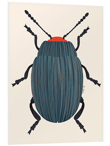 Foam board print Blue and orange beetle