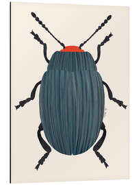 Magnettafel Blauer und orangefarbener Käfer