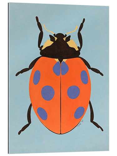 Gallery print Ladybug