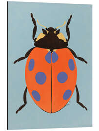 Magnettafel Marienkäfer