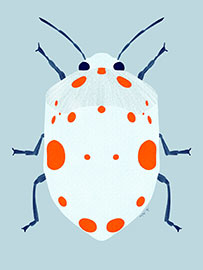 Magnettafel Süßer Käfer