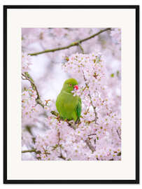 Gerahmter Kunstdruck Blütenvogel