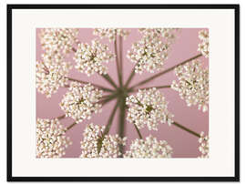 Gerahmter Kunstdruck Wildblumenflüstern