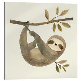 Gallery print Sloth in the tree