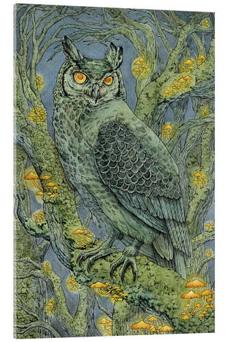 Cuadro de metacrilato Forest lights