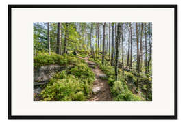 Gerahmter Kunstdruck Der Malerweg im Sommer, Sächsische Schweiz