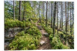 Gallery print The Malerweg in summer, Saxon Switzerland