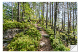 Wall sticker The Malerweg in summer, Saxon Switzerland