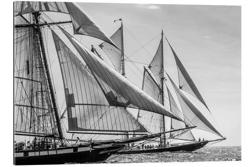 Gallery print Schooner parade of sail, Glouchester, Massachusetts, New England