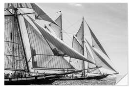 Sisustustarra Schooner parade of sail, Glouchester, Massachusetts, New England