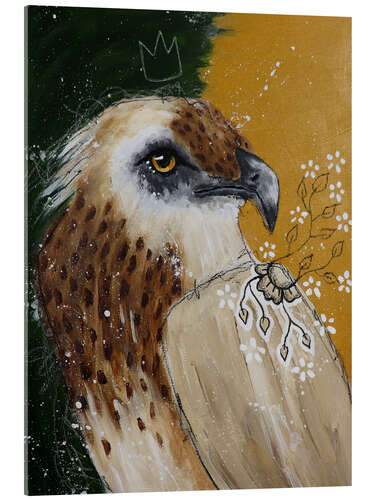 Acrylic print Expect the unexpected Hawk