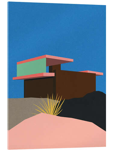 Quadro em acrílico Kaufmann Desert House