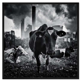Gerahmter Kunstdruck Kühe vor dem Braunkohlekraftwerk