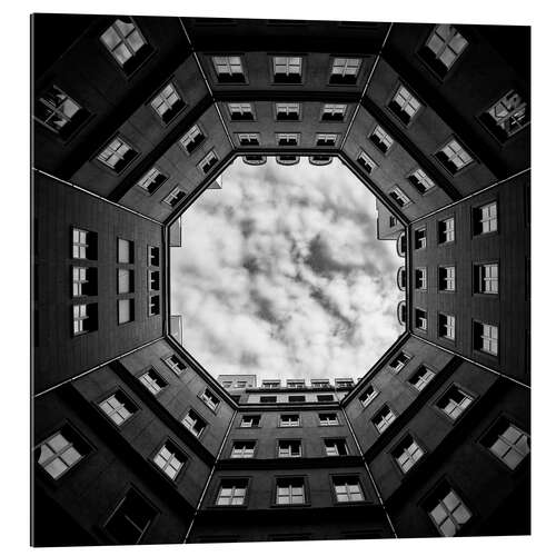 Galleriprint Looking Up I