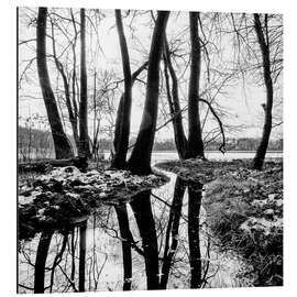 Aluminium print Buzzed Lake, Brandenburg