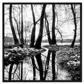 Gerahmter Kunstdruck Summter See, Brandenburg