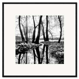 Framed art print Buzzed Lake, Brandenburg