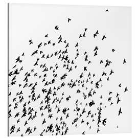 Tableau en aluminium Flock of Birds