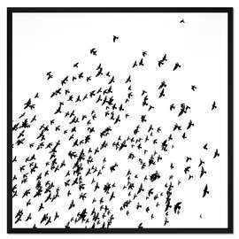 Gerahmter Kunstdruck Vogelschwarm