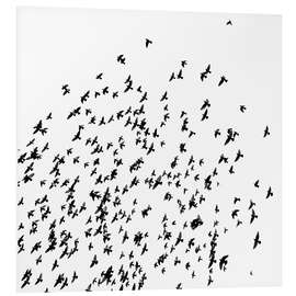 Foam board print Flock of Birds