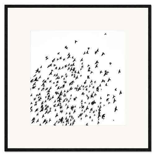Framed art print Flock of Birds