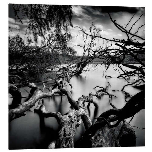 Acrylic print Quarry Lake Near Cologne