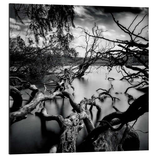 Aluminium print Quarry Lake Near Cologne