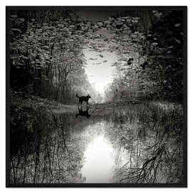 Gerahmter Kunstdruck Spiegelbild eines Hundes