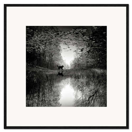 Gerahmter Kunstdruck Spiegelbild eines Hundes