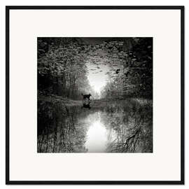 Gerahmter Kunstdruck Spiegelbild eines Hundes