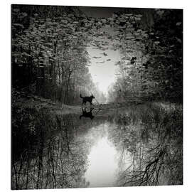 Magnettafel Spiegelbild eines Hundes