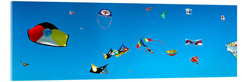 Acrylic print Flying kites