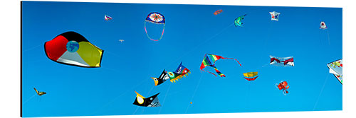 Aluminium print Flying kites