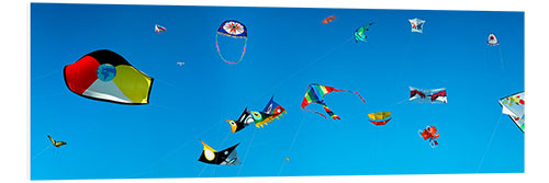 Foam board print Flying kites