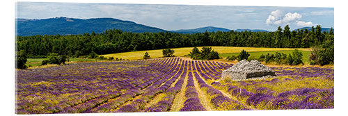 Acrylic print Stone bories in a lavender field, Provence, France