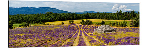 Alumiinitaulu Stone bories in a lavender field, Provence, France