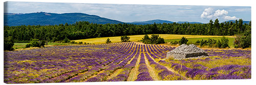 Canvas print Stone bories in a lavender field, Provence, France