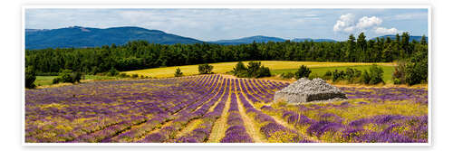 Poster Stone bories in a lavender field, Provence, France