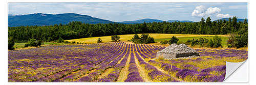 Wall sticker Stone bories in a lavender field, Provence, France