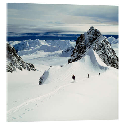 Acrylglasbild Oberer Foxgletscher Westland, Neuseeland