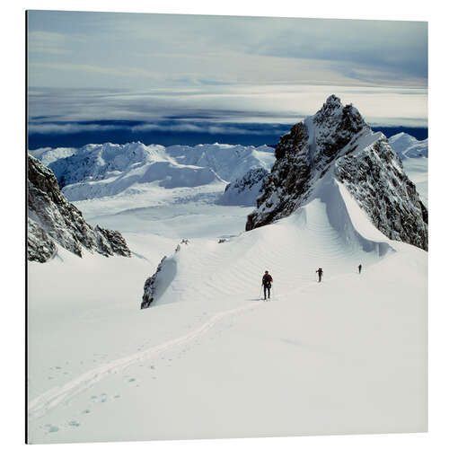 Aluminium print Upper Fox Glacier Westland, New Zealand