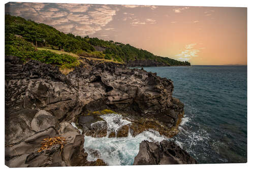 Lerretsbilde Wild Caribbean, coast of Guadeloupe in the sunset