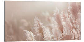 Aluminium print Picturesque pampas grass