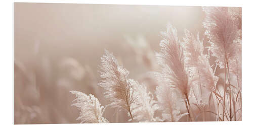 Foam board print Picturesque pampas grass