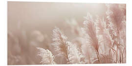 Print på skumplade Picturesque pampas grass