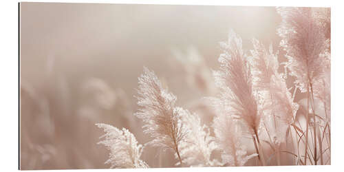 Gallery print Picturesque pampas grass