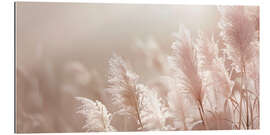 Gallery print Picturesque pampas grass